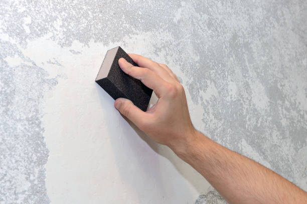Best Mold-Related Health Consultation  in Little Round Lake, WI