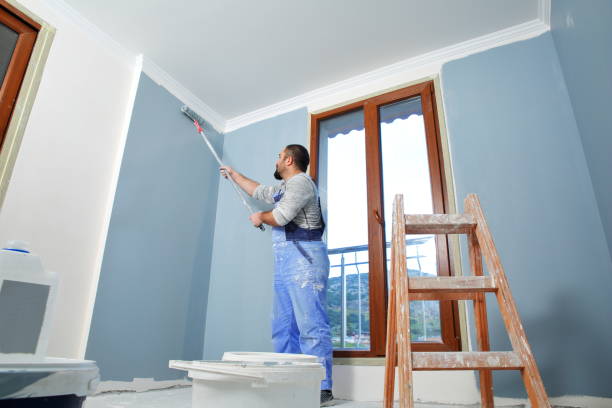 Best Mold Documentation for Insurance Claims  in Little Round Lake, WI
