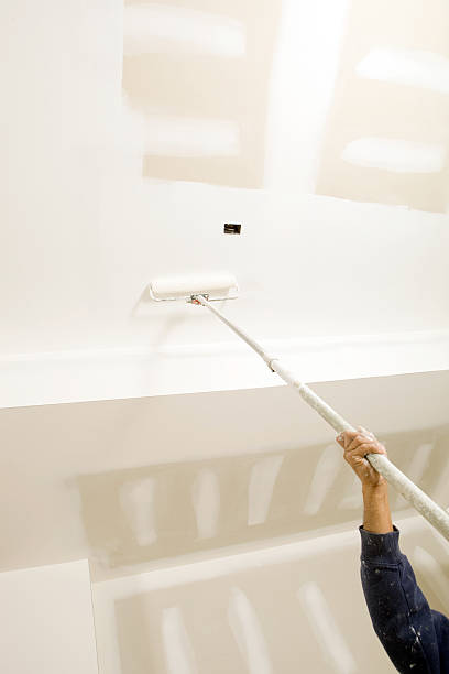 Mold Odor Removal Services in Little Round Lake, WI